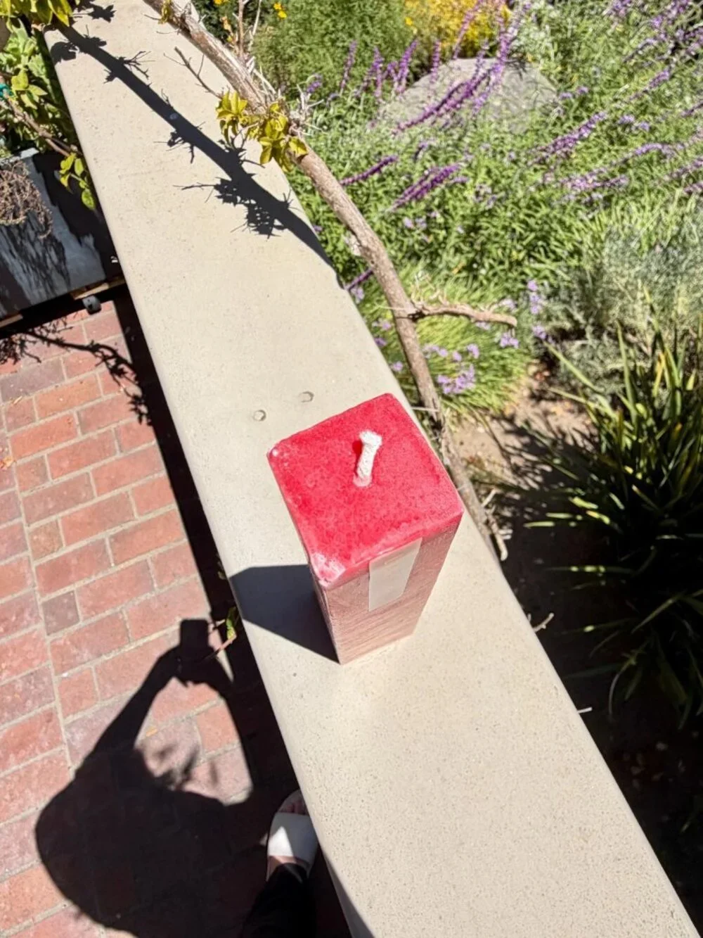 Living Light Pohutukawa Icicle Candle Red New Zealand Plant Beeswax 65 Hr 11.5